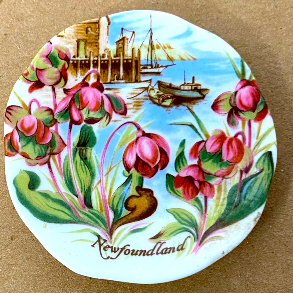 EUC Vtg Miniature Fine Bone China Souvenir Plate Fuchsia Flowers  Harbour Scene
